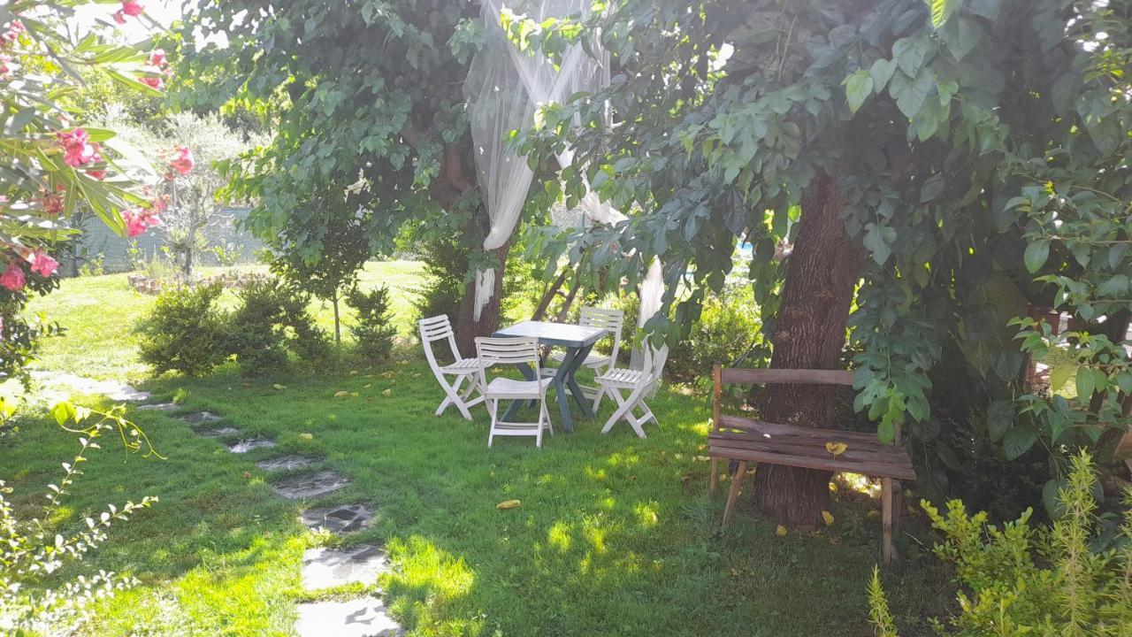 B&B Il Giardino Di Eolo Pietramelara Zewnętrze zdjęcie